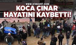 95 yaşındaki kadın yangında hayatını kaybetti!