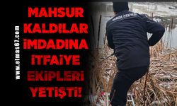 Mahsu kaldılar imdadına itfaiye ekipleri yetişti!