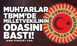 Muhtarlar TBMM'de Milletvekilinin odasını bastı! 