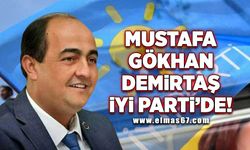 Mustafa Gökhan Demirtaş İYİ Parti'de!