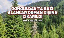 Zonguldak’ta bazı alanlar orman dışına çıkarıldı