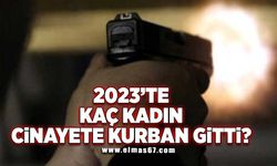 2023'te kaç kadın cinayete kurban gitti?