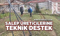 Salep üreticilerine teknik destek