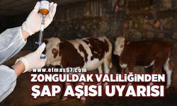 Zonguldak Valiliğinden şap aşısı uyarısı