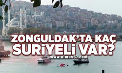 Zonguldak’ta kaç Suriyeli yaşıyor?