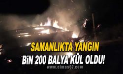 Samanlıkta yangın... Bin 200 balya kül oldu!