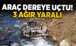 Araç dereye uçtu 3 ağır yaralı!