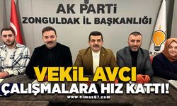 Vekil Avcı çalışmalara hız kattı!