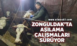 Zonguldak'ta aşılama çalışmaları sürüyor