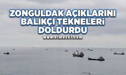 Zonguldak açıklarını balıkçı tekneleri doldurdu!