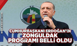 Cumhurbaşkanı Erdoğan'ın Zonguldak programı belli oldu!