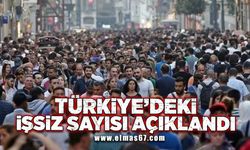 Türkiye'deki işsiz sayısı açıklandı!