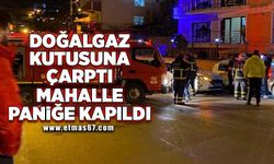 Doğalgaz kutusuna çarptı,Mahalle paniğe kapıldı!