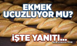 EKMEK UCUZLUYOR MU? İŞTE YANITI...