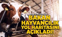 Bakan hayvancılık yol haritasını açıkladı