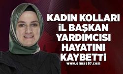 Kadın Kolları İl Başkan Yardımcısı hayatını kaybetti