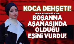 Koca dehşeti! Boşanma aşamasında olduğu eşini vurdu!