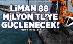 Liman 88 milyon liraya güçlenecek