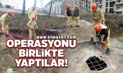 AFAD VE ORKUT Zonguldak’ta iş birliği yaptı