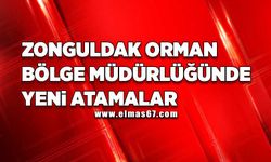 Zonguldak Orman Bölge Müdürlüğünde yeni atamalar