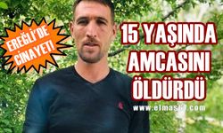 Ereğli’de 15 yaşındaki çocuk amcasını öldürdü