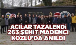 Acılar tazelendi 263 şehit madenci Kozlu'da anıldı