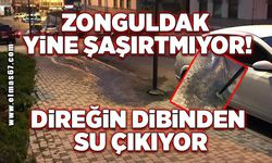 Zonguldak yine şaşırtmıyor! Direğin dibinden su çıkıyor