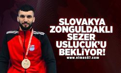 Slovakya Zonguldaklı Sezer Uslucuk’u bekliyor