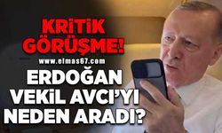 Kritik görüşme! Cumhurbaşkanı Erdoğan Vekil Avcı'yı neden aradı?