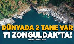 Dünyada 2 tane var 1'i Zonguldak'ta!