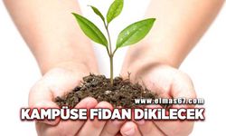 Zonguldak'ta kampüse fidan dikilecek