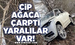 Cip ağaca çarptı yaralılar var