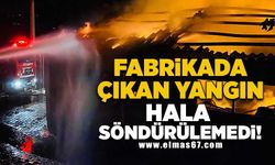 Zonguldak'ta çıkan yangın hala söndürülemedi!