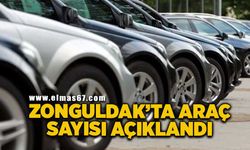 Zonguldak’ta Mart ayı araç sayısı açıklandı