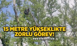 Zonguldak’ta 15 metre yükseklikte zorlu görev!