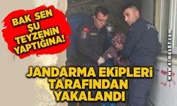 Bak şu teyzenin yaptığına! Jandarma ekipleri tarafından yakalandı!