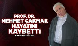 Prof. Dr. Mehmet Çakmak hayatını kaybetti