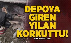 Depoya giren yılan korkuttu