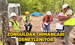 Zonguldak ormanları denetleniyor