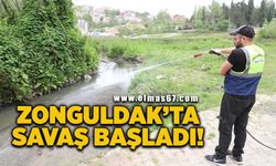 Zonguldak’ta sineklere karşı savaş başladı!