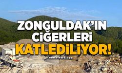 Zonguldak'ın ciğerleri katlediliyor!