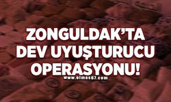 Zonguldak’ta dev uyuşturucu operasyonu