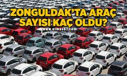 Zonguldak’ta araç sayısı kaç oldu?