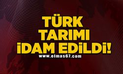 Türk tarımı idam edildi!