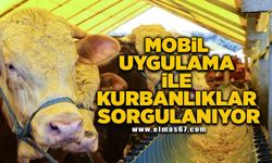 Mobil uygulama ile kurbanlıklar sorgulanıyor