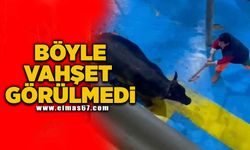 Böyle vahşet görülmedi!