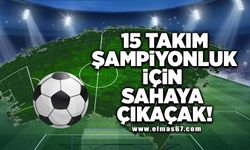 15 takım şampiyonluk için sahaya çıkacak!