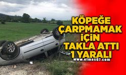 Köpeğe çarpamamak için takla attı 1 yaralı