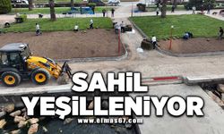 SAHİL YEŞİLLENİYOR