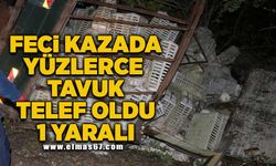 Fecİ kazada yüzlerce tavuk telef oldu!